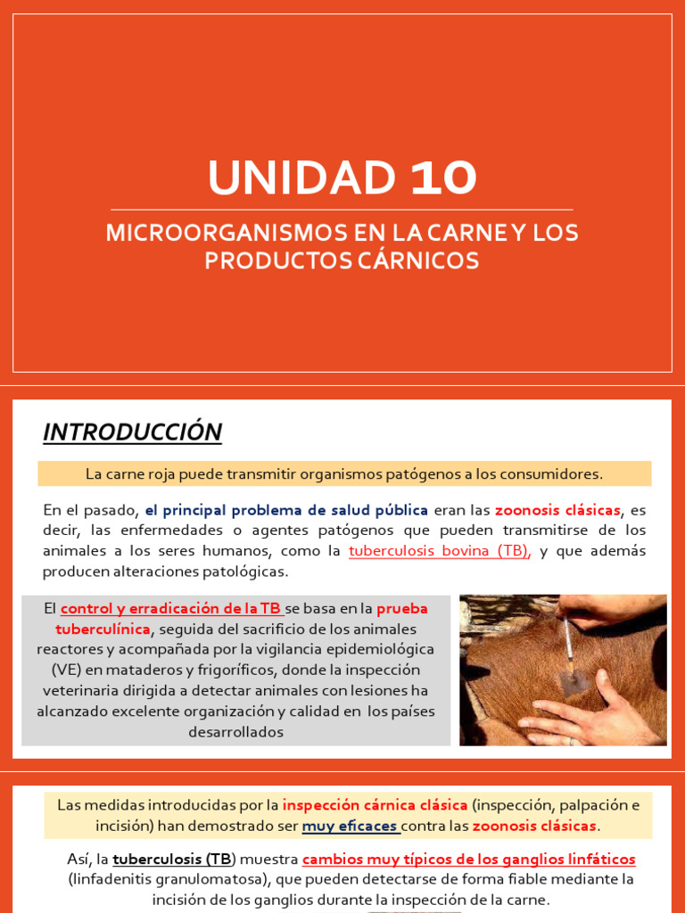 Microorganismos en Carne y Productos Cárnicos | PDF | Salmonela | Carne
