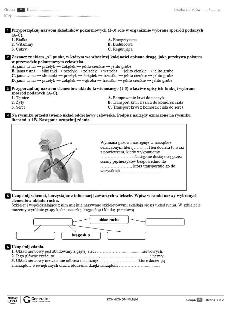 696317954 Test Po Dziale 4 Odkrywamy Tajemnice Ciała Człowieka Wersja 1 ...