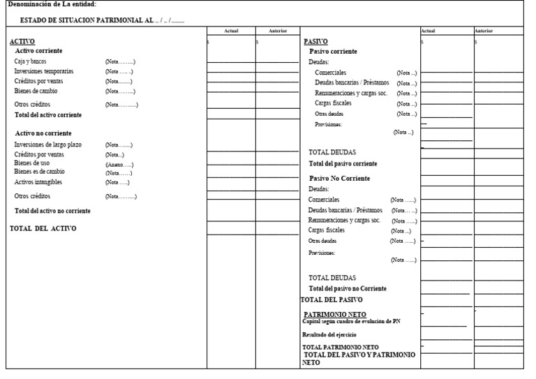 Estado Patrimonial: Activo y Pasivo | PDF | Hoja de balance | Dinero