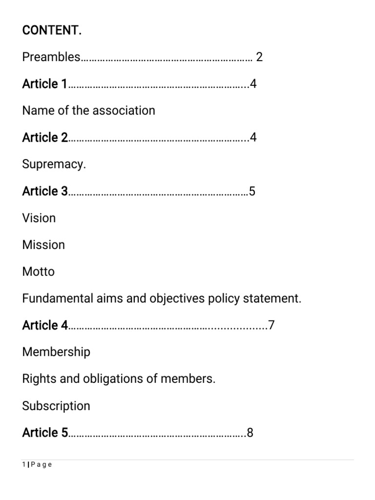 SSUSA Constitution and Governance Guide | PDF | South Sudan | Sudan