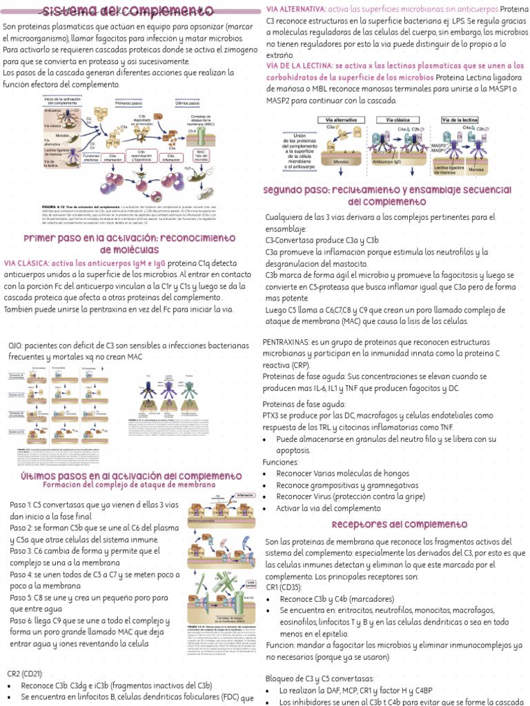 Activación y Funciones del Sistema del Complemento | PDF | Sistema ...