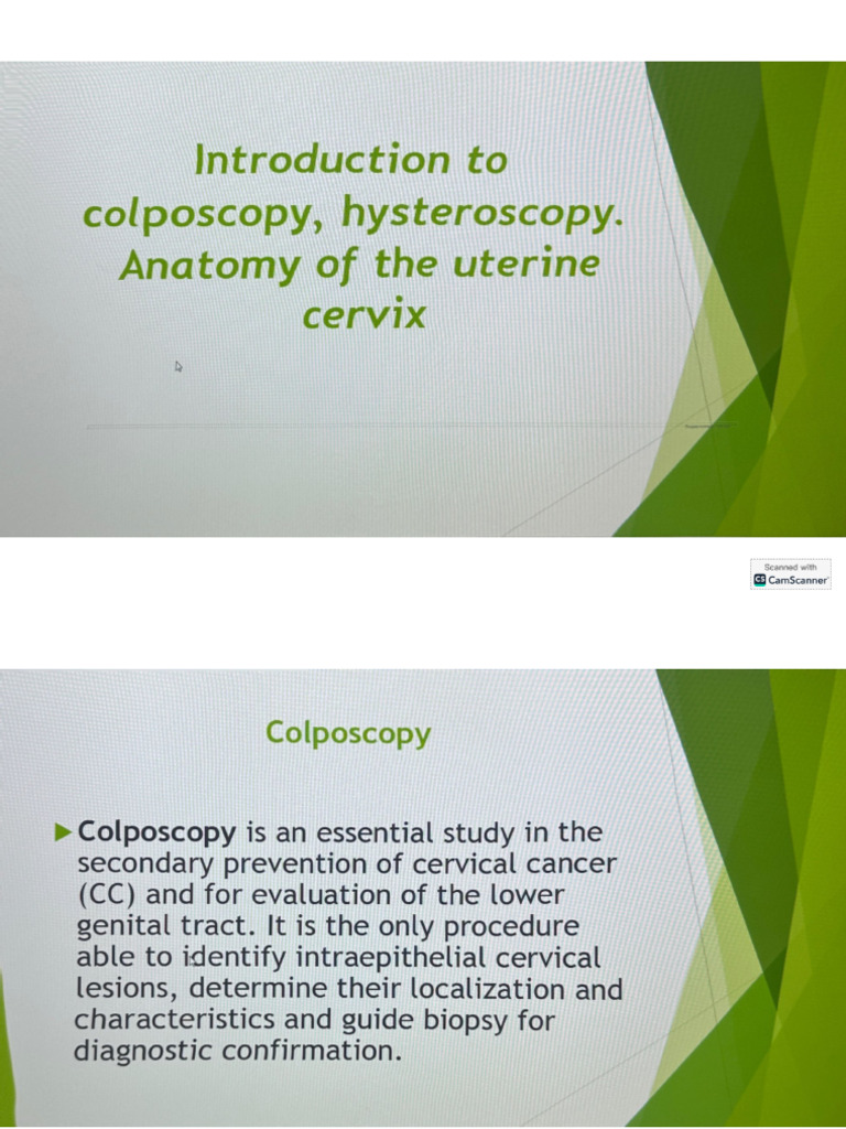 Colpo S | PDF