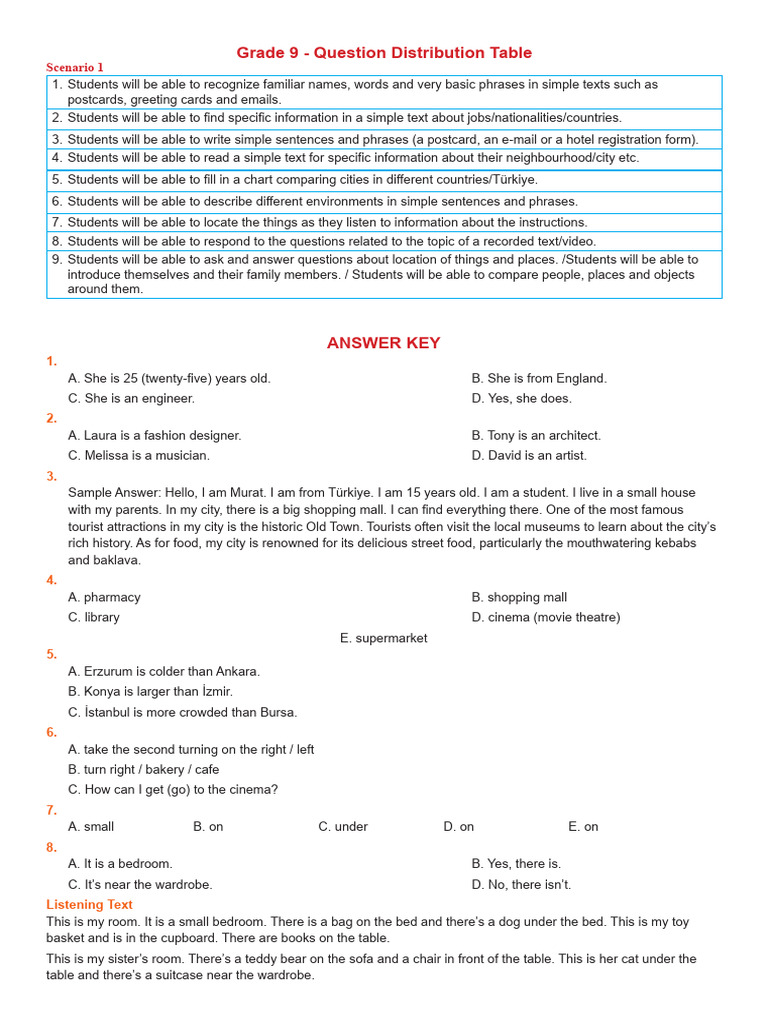 Grade 9 English Skills Assessment Guide | PDF