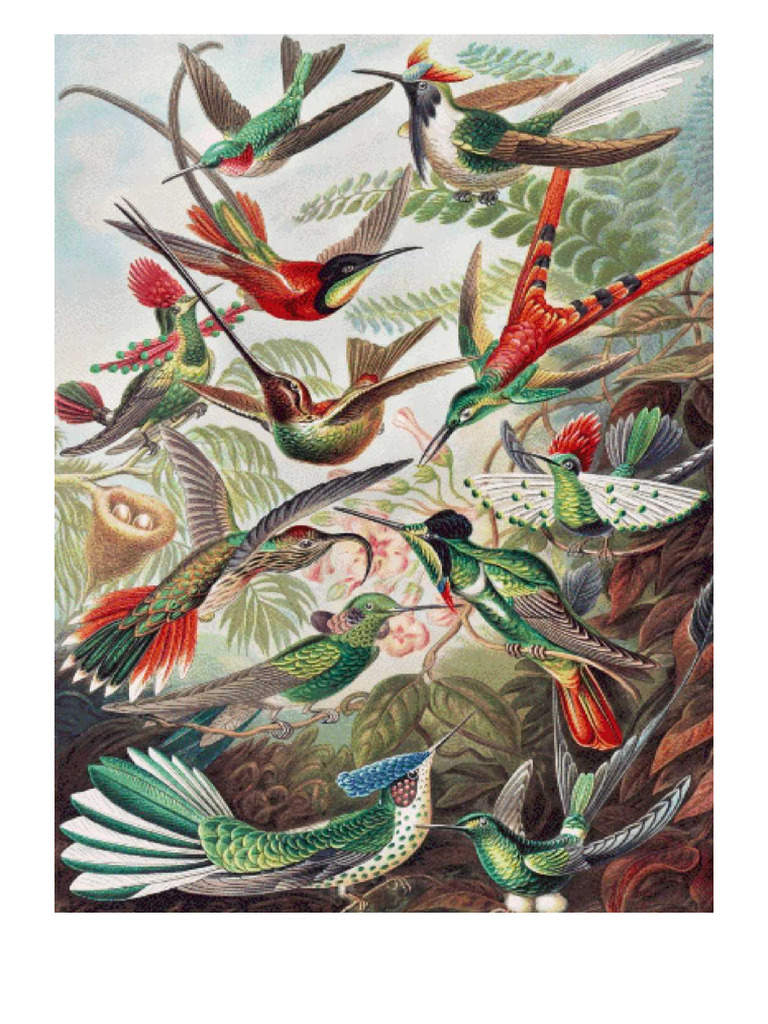 Vintage Hummingbirds | PDF