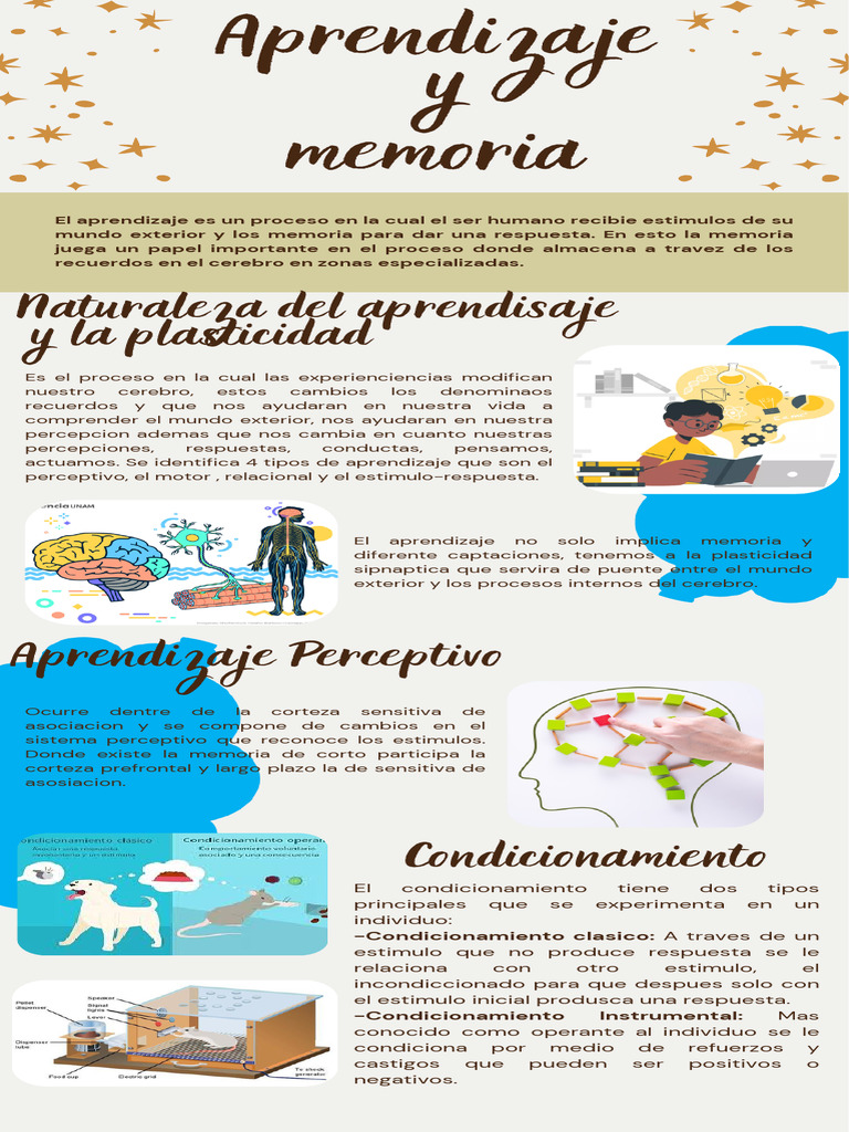 Tipos de Aprendizaje y Memoria | PDF | Memoria | Aprendizaje