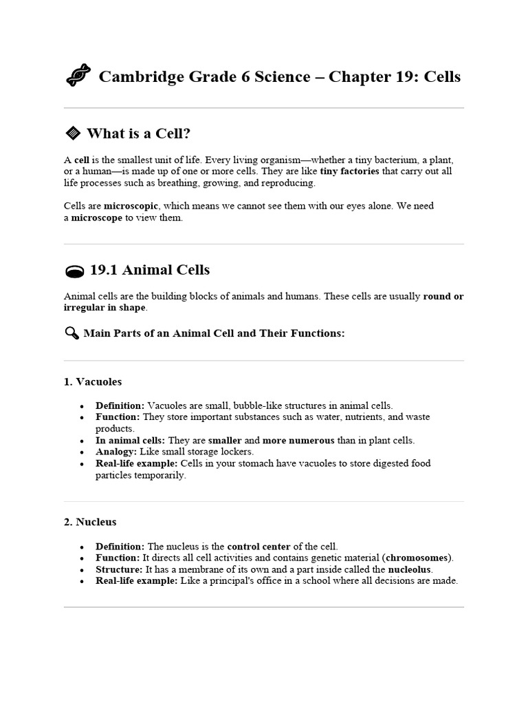 Grade 6 Cells | PDF | Cell (Biology) | Vacuole