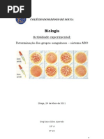 Relatório - Determinação do grupo sanguíneo