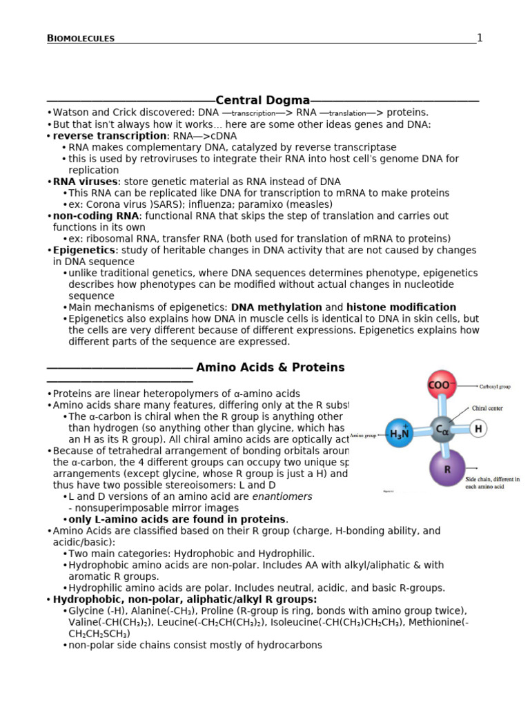 Understanding Biomolecules: DNA, RNA, Proteins | PDF | Rna | Genotype