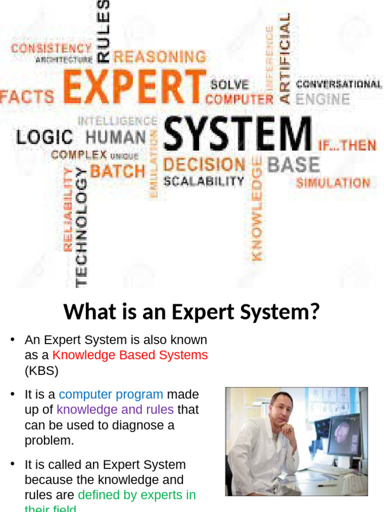 Understanding Expert Systems in AI | PDF
