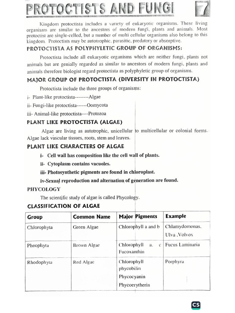 Chapter No 7 (Protoctista and Fungi) | PDF