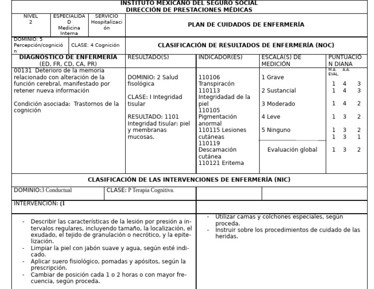 Plan de Cuidados de Enfermería en Medicina Interna | PDF | Piel | Cognición