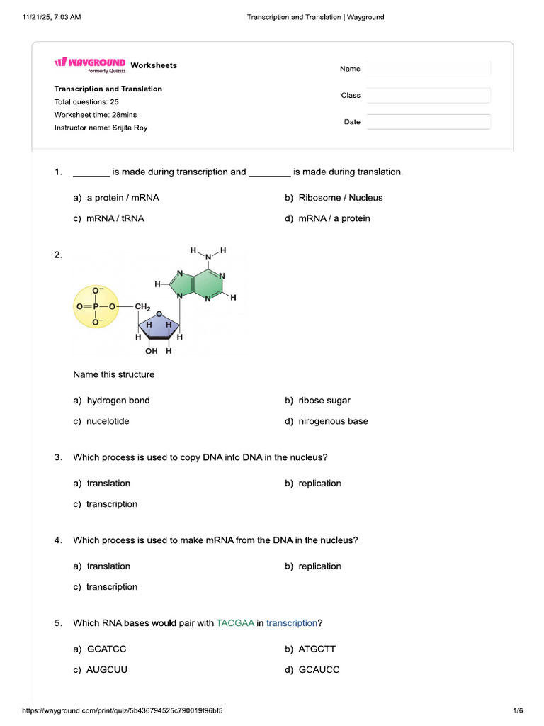 Transcrip and Transl | PDF