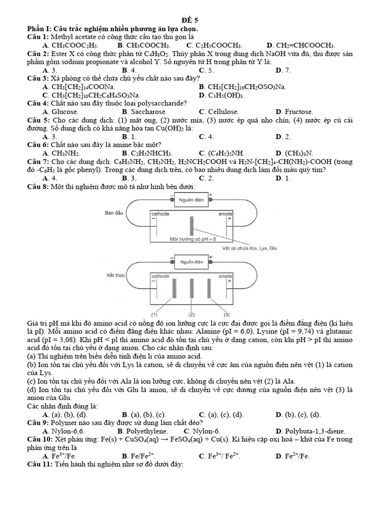 De 5 | PDF