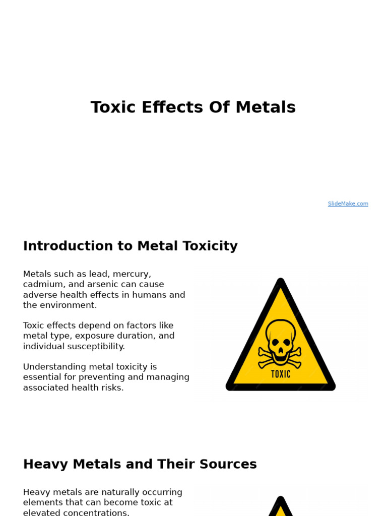 Understanding Metal Toxicity Effects | PDF | Neurochemistry ...