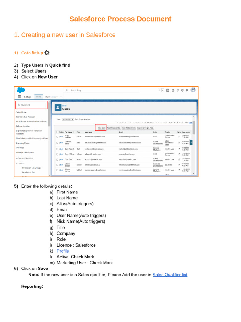 Salesforce Process - May 2022 | PDF | Information Technology | Software