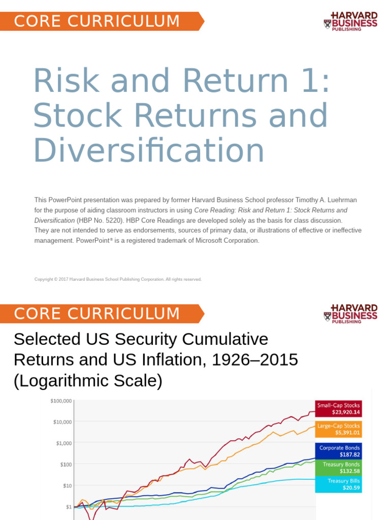 Stock Returns and Diversification Insights | PDF