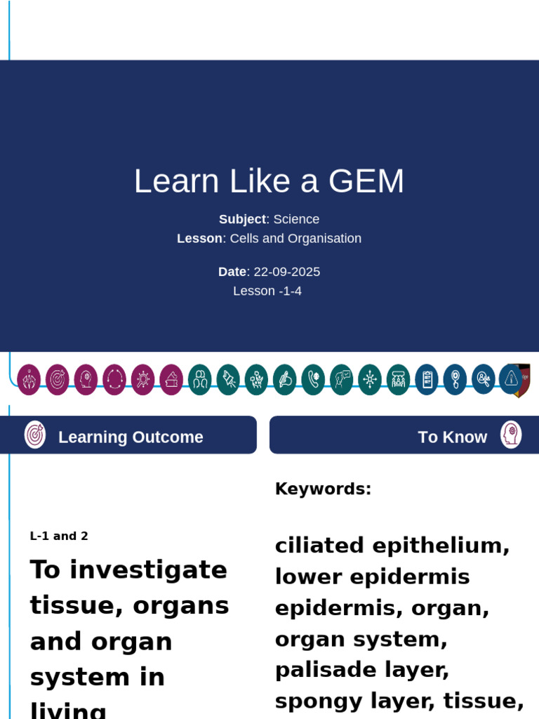 Understanding Human Organ Systems | PDF | Epithelium | Tissue (Biology)