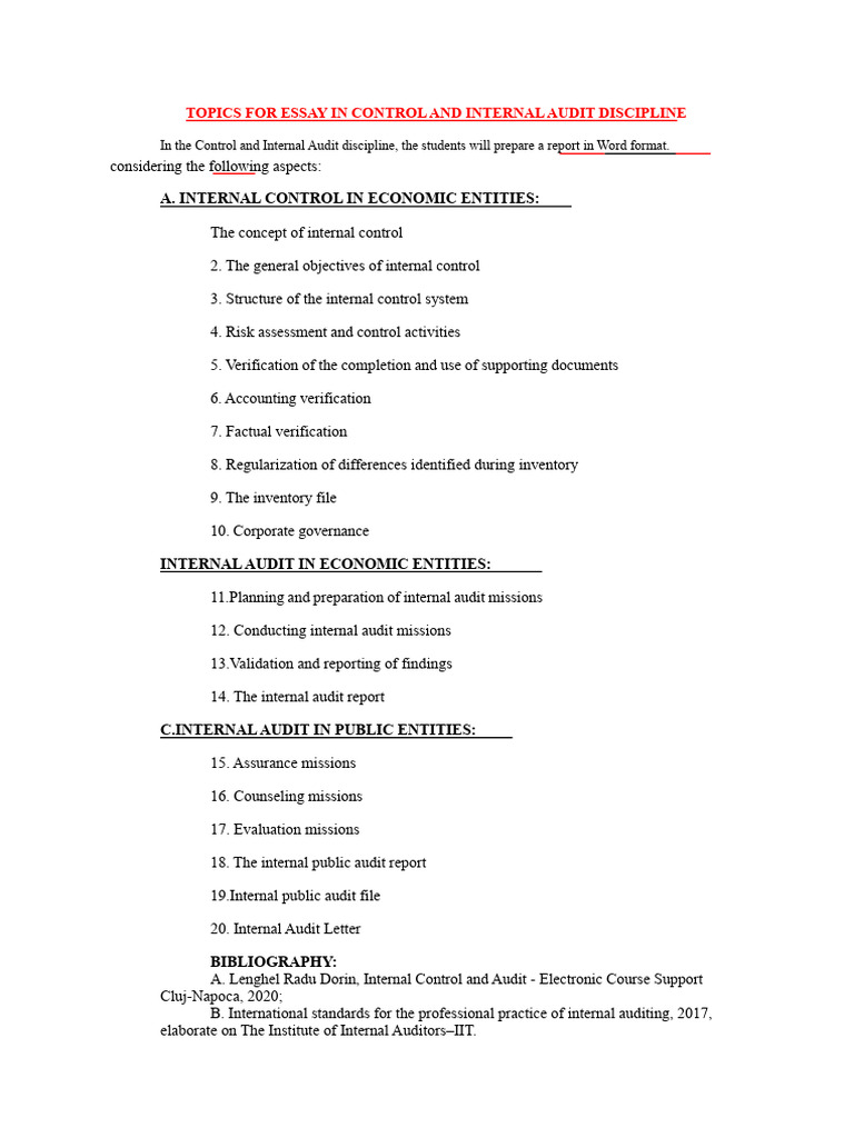 Topics For The Report On Internal Control and Audit | PDF