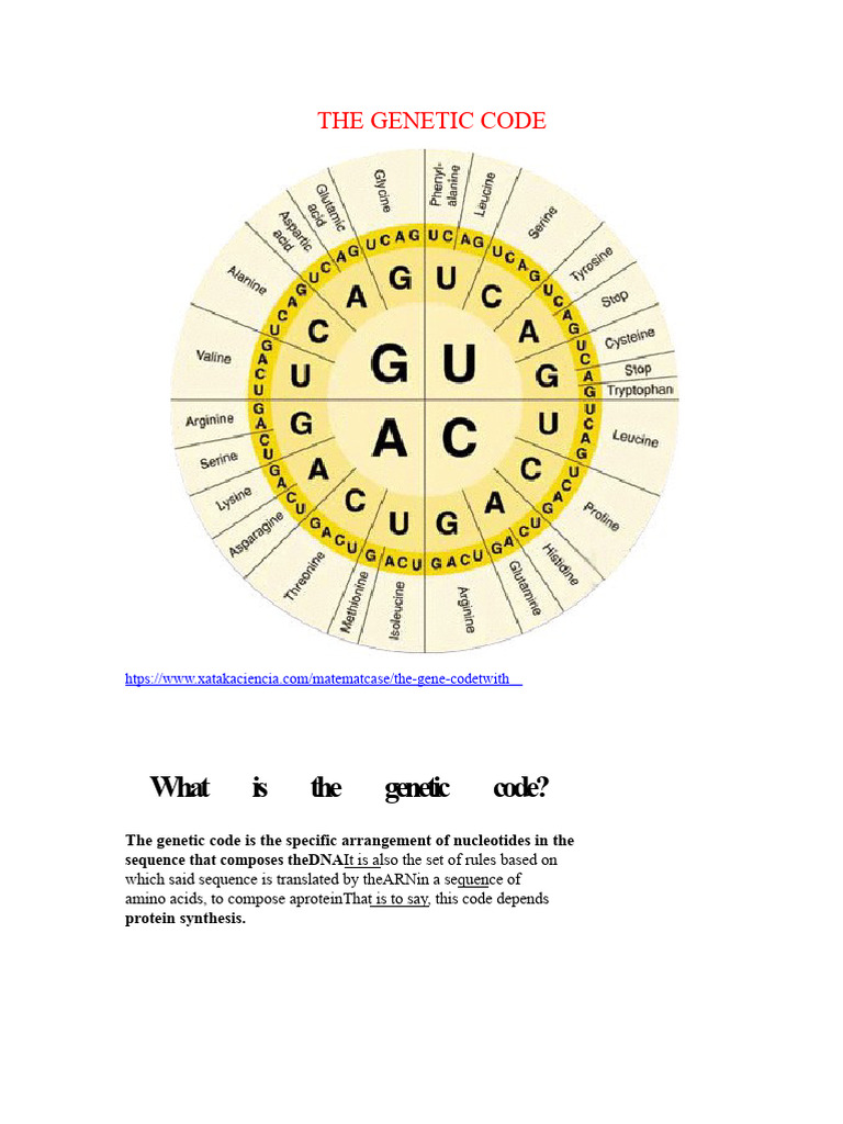 The Genetic Code | PDF | Genetic Code | Nucleic Acid Sequence