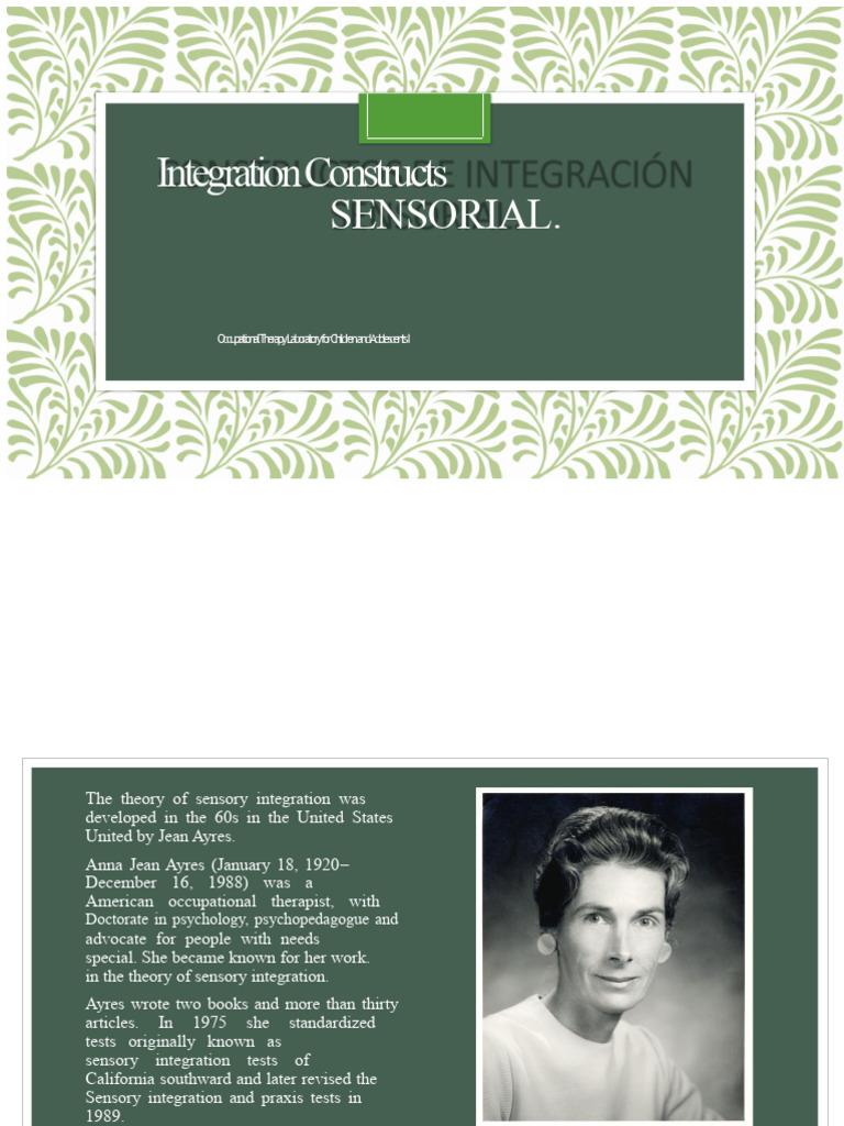 Sensory Integration in Occupational Therapy | PDF | Senses | Central ...