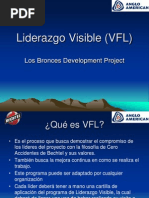 Liderazgo Visible (VFL)