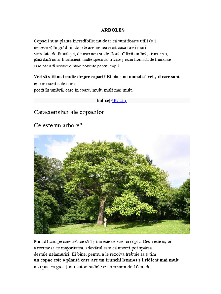COPACI | PDF