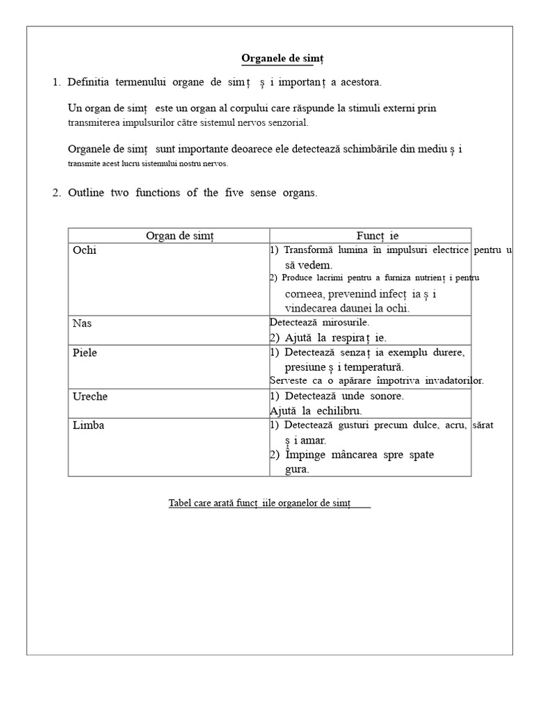 Organe de Simț | PDF