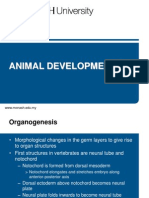 Lect 22 Animal Development (1)