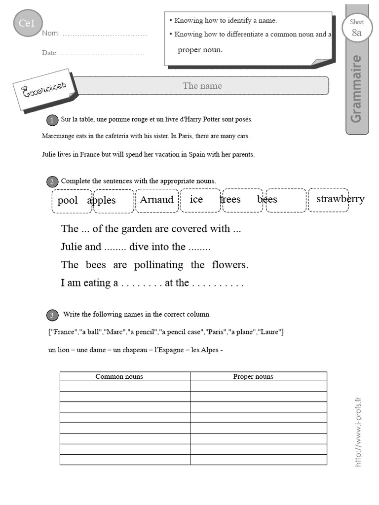 CE1 Exercises Name | PDF | Language Mechanics | Linguistic Typology