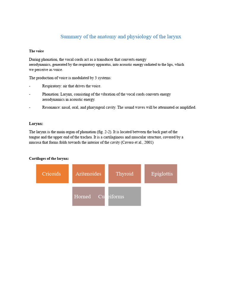 Summary of Anatomy and Physiology of The Larynx | PDF | Larynx | Human ...