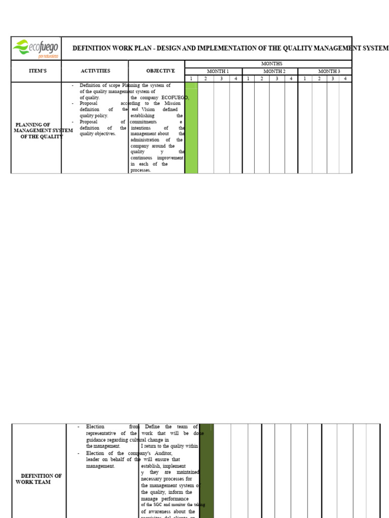 Definition Work Plan For Implementation of The QMS | PDF | Quality ...