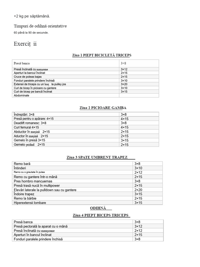 Rutina | PDF