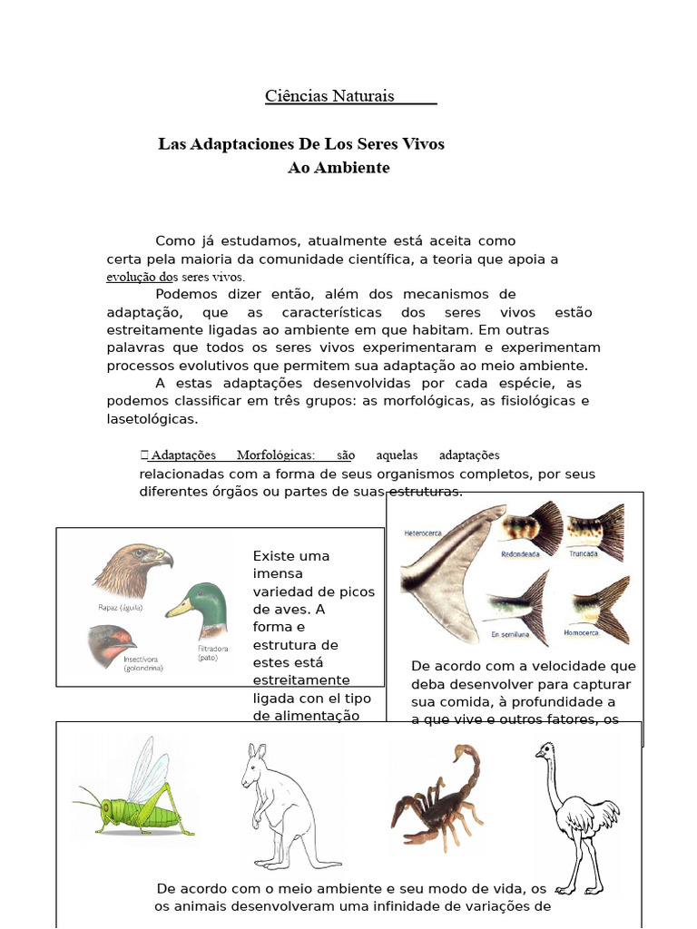 Adaptação Dos Seres Vivos | PDF | Adaptação | Organismos