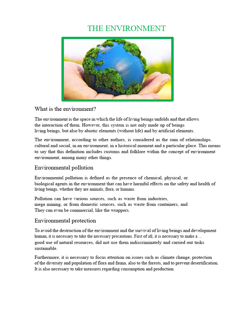 The Environment | PDF