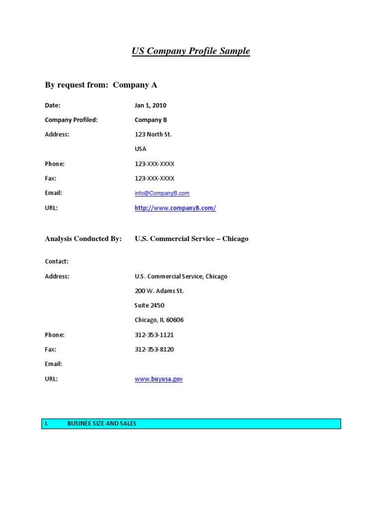 US Company Profile Sample: by Request From: Company A | PDF