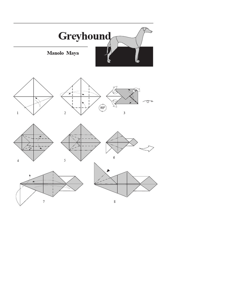 Greyhound Model Shaping Guide | PDF