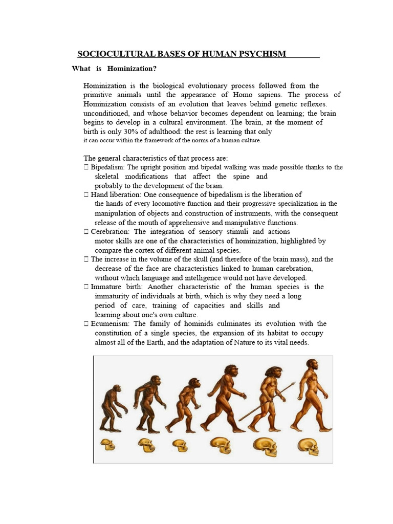 Hominization and Human Psychism Evolution | PDF | Homo | Socialization