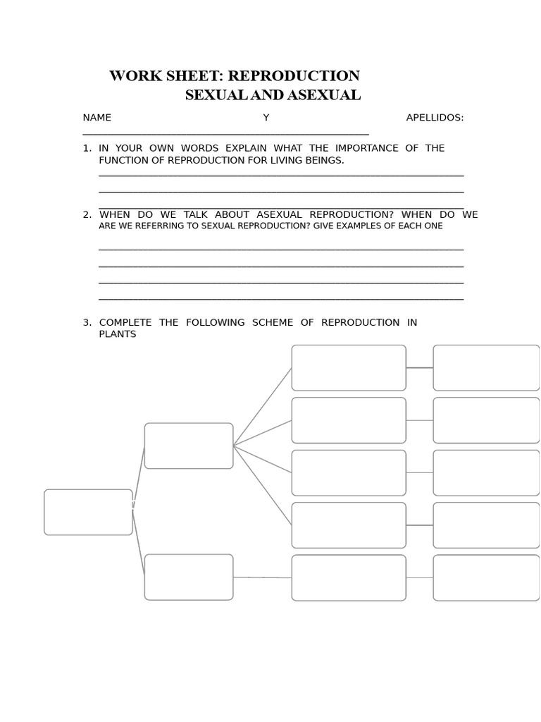 Work Sheet - Reproduction | PDF