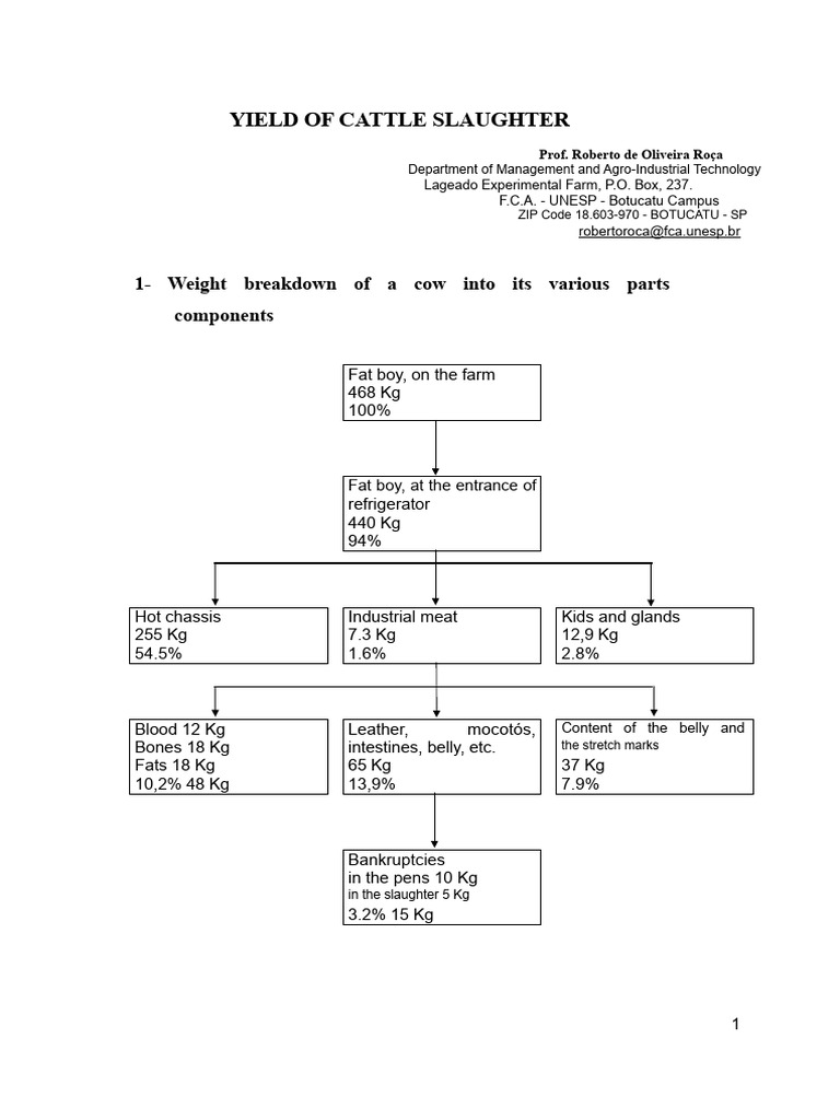 Cattle Slaughter Yield Analysis | PDF | Beef | Offal