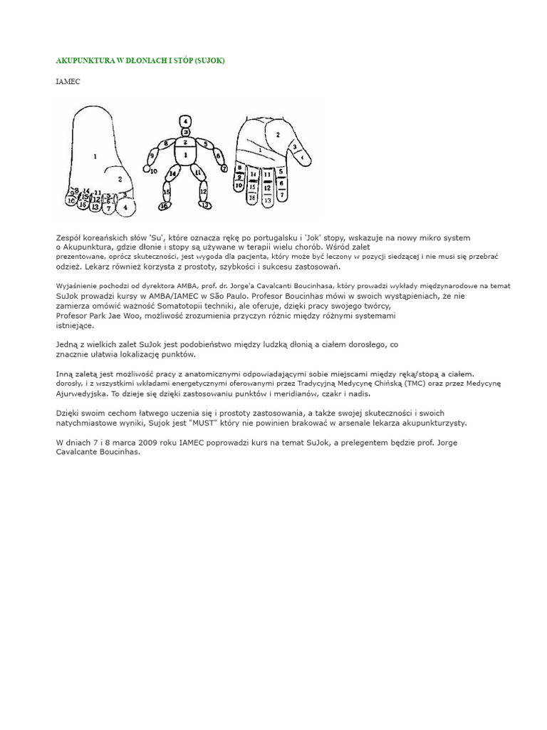 Su Jok | PDF