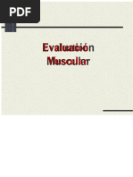 Manual Muscle Test Grading Guide | PDF | Diseases And Disorders ...