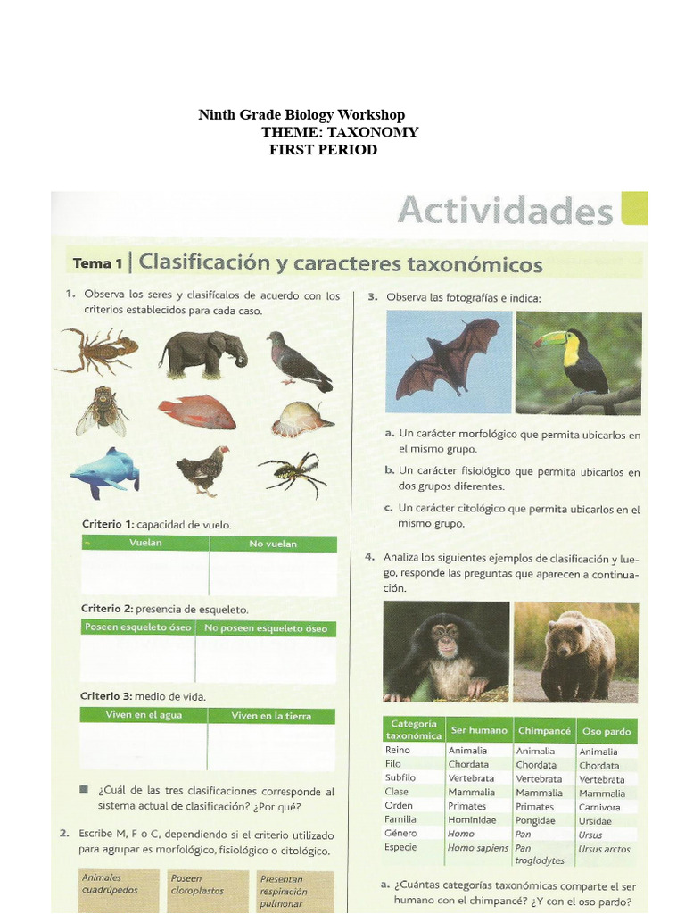 Ninth Grade Taxonomy Workshop Guide | PDF