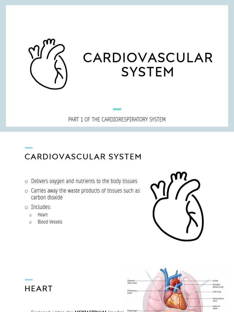 Open Cardiovascular System PDF | PDF | Heart Valve | Heart