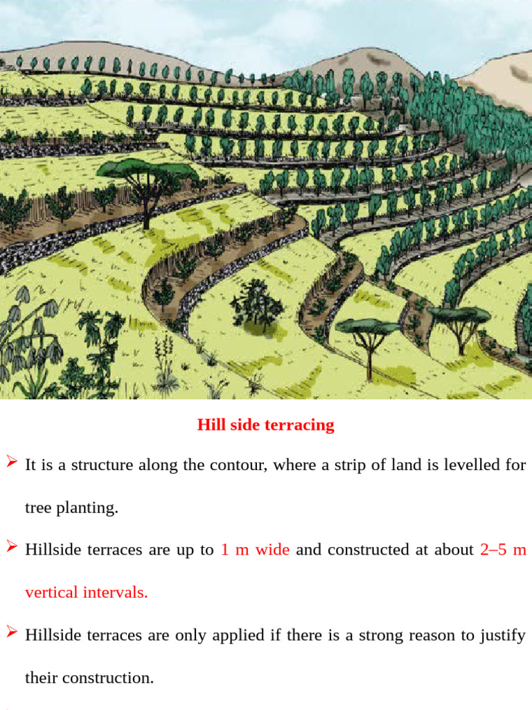Benefits of Hillside Terracing for Trees | PDF