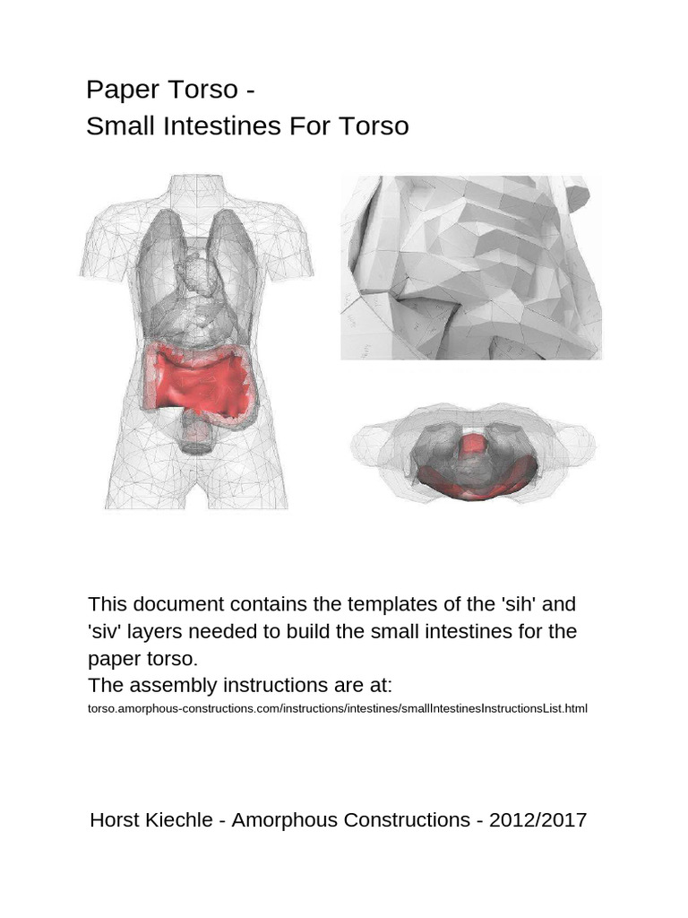 2017 Intestines Small A 4 | PDF