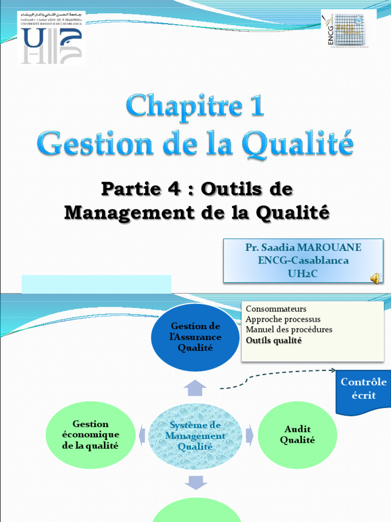 Outils de Management de la Qualité | PDF | Management de la qualité