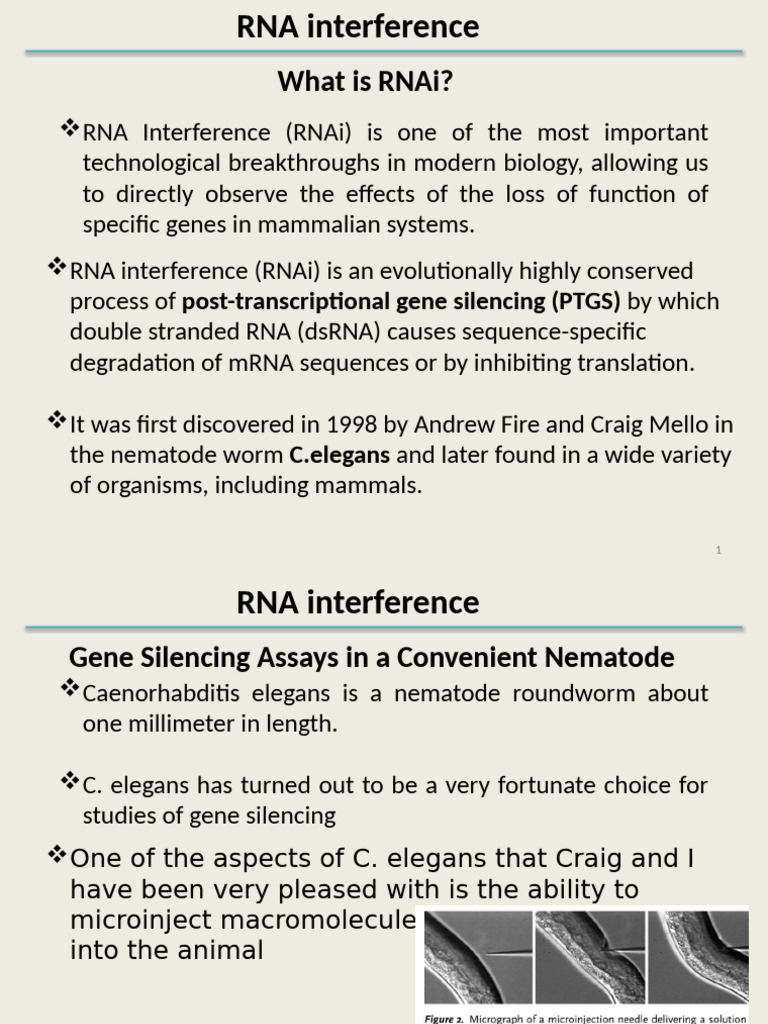 Presentation1 IRNA1 | PDF | Rna Interference | Small Interfering Rna