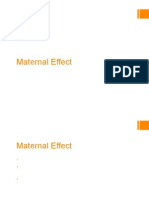 Maternal Effect