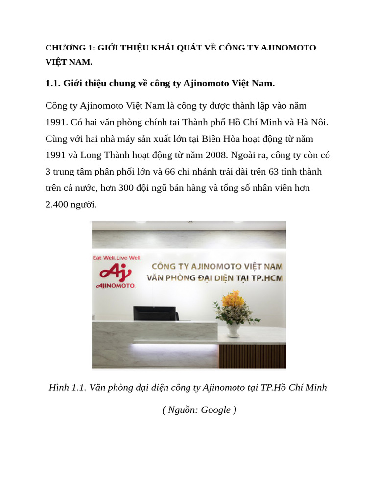 Chương 1 AJINOMOTO VIỆT NAM | PDF