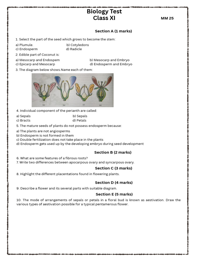 Biology Test - 20251109 - 152855 - 0000 | PDF
